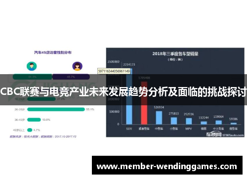 CBC联赛与电竞产业未来发展趋势分析及面临的挑战探讨
