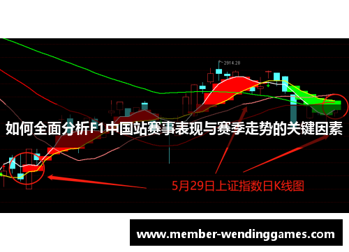 如何全面分析F1中国站赛事表现与赛季走势的关键因素