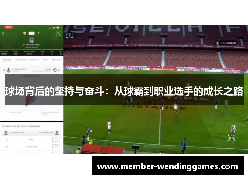 球场背后的坚持与奋斗：从球霸到职业选手的成长之路