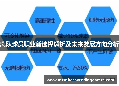 离队球员职业新选择解析及未来发展方向分析