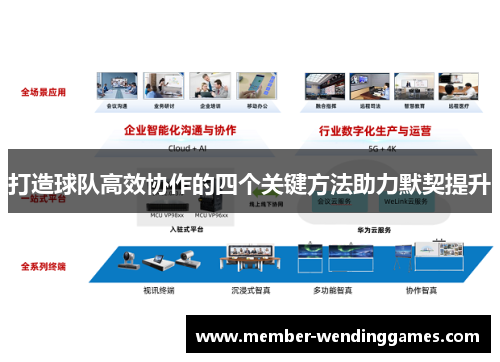 打造球队高效协作的四个关键方法助力默契提升