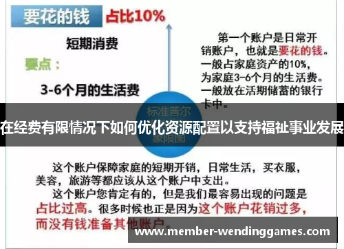 在经费有限情况下如何优化资源配置以支持福祉事业发展
