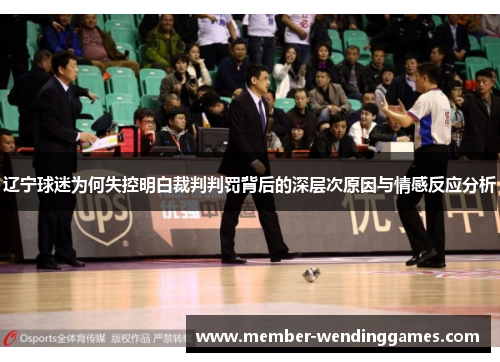 辽宁球迷为何失控明白裁判判罚背后的深层次原因与情感反应分析