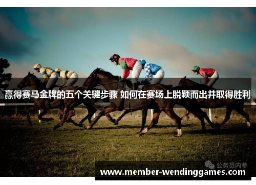 赢得赛马金牌的五个关键步骤 如何在赛场上脱颖而出并取得胜利