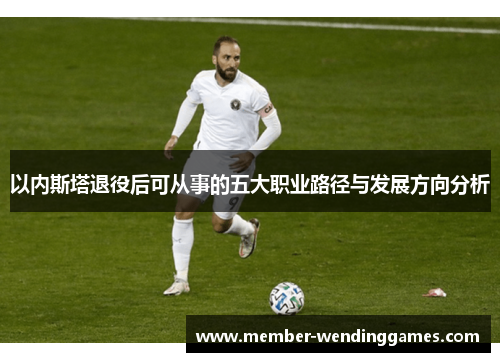 以内斯塔退役后可从事的五大职业路径与发展方向分析