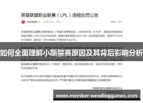 如何全面理解小斯禁赛原因及其背后影响分析