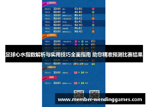 足球心水指数解析与实用技巧全面指南 助您精准预测比赛结果