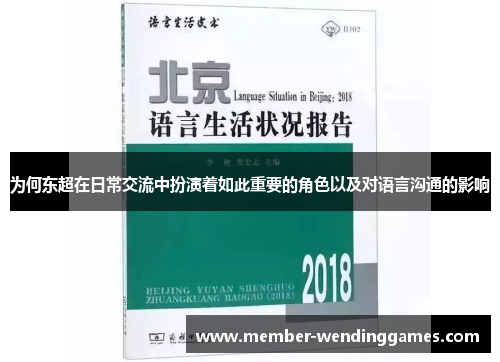 为何东超在日常交流中扮演着如此重要的角色以及对语言沟通的影响