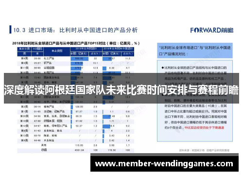 深度解读阿根廷国家队未来比赛时间安排与赛程前瞻