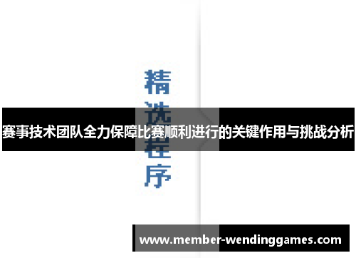 赛事技术团队全力保障比赛顺利进行的关键作用与挑战分析