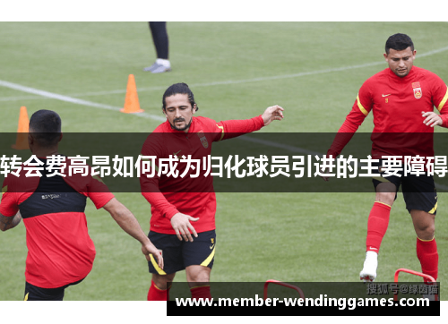 转会费高昂如何成为归化球员引进的主要障碍