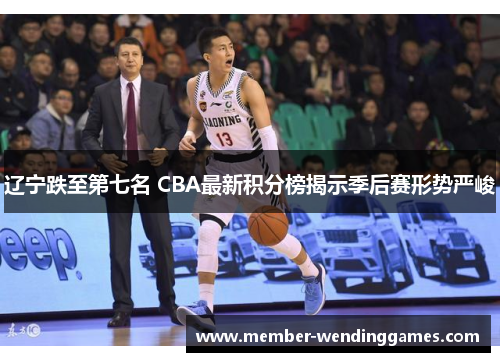 辽宁跌至第七名 CBA最新积分榜揭示季后赛形势严峻