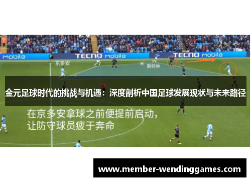 金元足球时代的挑战与机遇：深度剖析中国足球发展现状与未来路径