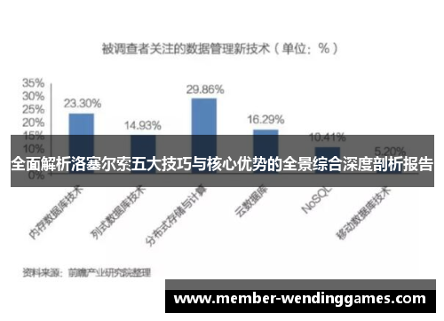 全面解析洛塞尔索五大技巧与核心优势的全景综合深度剖析报告
