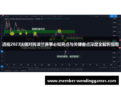 透视2023法国对阵波兰赛事必知亮点与关键看点深度全解析指南