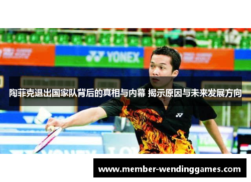 陶菲克退出国家队背后的真相与内幕 揭示原因与未来发展方向