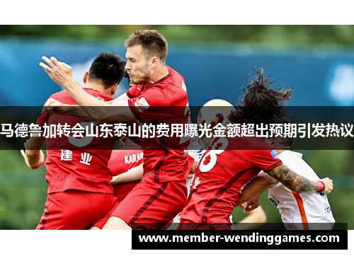 马德鲁加转会山东泰山的费用曝光金额超出预期引发热议 马德鲁加转会山东泰山的费用曝光金额超出预期引发热议