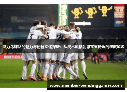 魔力鸟球队的魅力与粉丝文化探析：从战术风格到忠实支持者的深度解读