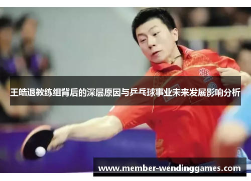 王皓退教练组背后的深层原因与乒乓球事业未来发展影响分析