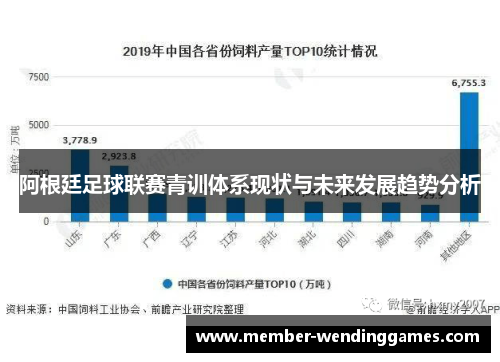 阿根廷足球联赛青训体系现状与未来发展趋势分析